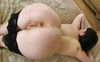 tchat algerie gratuit rapide